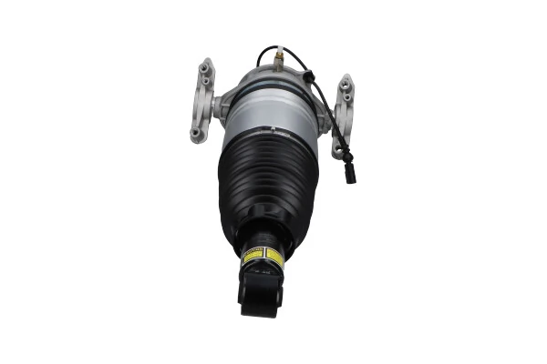 Air Suspension Strut